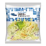 5種野菜とキャベツの千切り ミニ 1パック