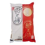 無洗米 新潟県産 新之助 5kg