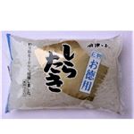 紙屋商店 E判お徳用 しらたき 300g