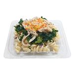 蒸し鶏とケールのパスタサラダ（小）1パック