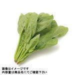岩手県などの国内産 ほうれん草（小量）1袋