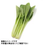 群馬県などの国内産 小松菜 200g 1袋