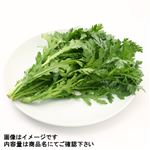 群馬県などの国内産 春菊（小量）1袋