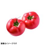 熊本県などの国内産 トマト Lサイズ 2個入 1パック