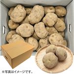 【北海道フェア予約】北海道産 じゃがいも小箱 3.0kg【9／26～9／28お渡し】