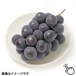 トップバリュ 栃木県などの国内産 ぶどう（種無し巨峰）1パック