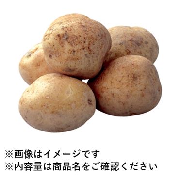 おうちでイオン イオンネットスーパー 北海道などの国内産 じゃがいも 1個 おうちでイオン イオンネットスーパー 北海道などの国内産 じゃがいも 1個