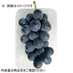 山梨県または長野県などの国内産 ぶどう（たねなし巨峰）300g入 1パック