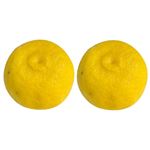 トップバリュ グリーンアイ オーガニック 高知県などの国内産 ゆず 2個入 1袋