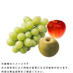【予約】国内産 旬の果物盛合わせ（3点入）1盛【6日～12日後お渡し】
