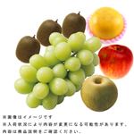 【予約】 旬の果物盛合わせ（5点入）1盛【6日～12日後お渡し】