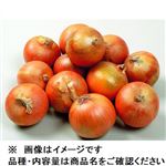 【予約】北海道 たまねぎ 2.7kg入 1箱【6日～12日後お渡し】