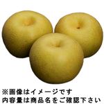 【予約】栃木県産 栃木の梨 24～32玉（9kg入）1箱【6日～12日後お渡し】