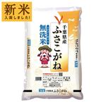 【令和7年度産】伊丹産業 千葉県産無洗米ふさこがね 5kg※お米はおひとりさま1点限り（同日2回のご注文不可）