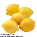 トップバリュ チリ産 皮ごと食べられるレモン（大袋）8個入 1袋