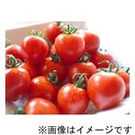 群馬県などの国内産 フルーツトマト（ブリックス）大パック 180g入 1パック