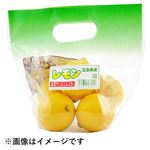 広島県などの国内産 レモン大袋 5個入 1袋