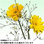 ガーベラブーケ 黄系 1束【置き楽配送指定不可】