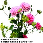 カーネーションブーケM 1束【置き楽配送指定不可】