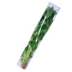 千葉県などの国内産 地場産 水耕みつば 1袋