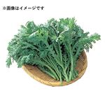 群馬県などの国内産 春菊（きくな）1袋
