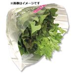 トップバリュ 新潟県などの国内産 3種のレタス 1袋   【6／20～6／22お渡し】