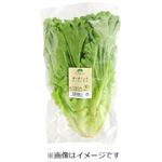 トップバリュ グリーンアイ オーガニック 長野県などの国内産 リーフレタス 1袋