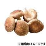 トップバリュ グリーンアイ オーガニック 岩手県などの国内産 生しいたけ（菌床栽培）1パック