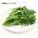 千葉県などの国内産 春菊（少量）1袋