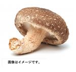 徳島県 などの国内産 生しいたけ（菌床）特大 1袋