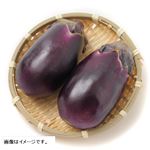 大阪府 などの国内産 水なす化粧箱 5～6個入 1箱