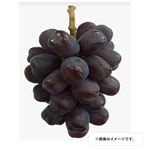 山梨県 などの国内産 ぶどう（富士の輝）1パック