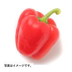 静岡県 などの国内産 プリンセスパプリカ（赤）1袋