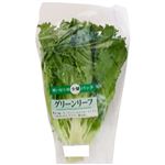 長野県 などの国内産 グリーンレタス 1／2カット 1袋