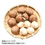 千葉県 などの国内産 ミックスマッシュルーム大パック 1パック