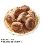 徳島県 などの国内産 生しいたけ（菌床）大パック 1パック