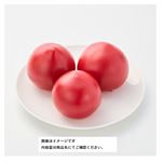高知県 などの国内産 フルーツトマト 大パック 1パック