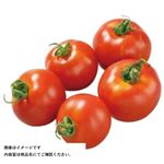 千葉県 などの国内産 ミディトマト（フルティカ）1パック