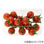 福井県 などの国内産 房付きミニトマト 1パック