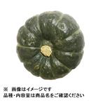 トップバリュ減の恵み 北海道 などの国内産 ミニかぼちゃ 1個