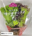 トップバリュ 岡山県 などの国内産 2種のロロレタス 1パック