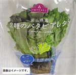トップバリュ 岡山県 などの国内産 2種のバタビアレタス 1パック