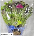 トップバリュ 岡山県 などの国内産 3種のクリスピーレタス 1パック