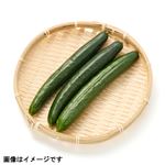 トップバリュ減の恵み 群馬県 などの国内産 きゅうり 3本入 1袋
