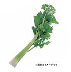 長野県 などの国内産 セロリー1／2カット 1袋