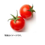 愛知県 などの国内産 ミニトマト（マイクロトマト）1パック