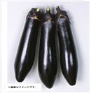福岡県 などの国内産 長なす徳用袋（わけあり）1袋
