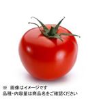 北海道 などの国内産 フルーツトマト 大パック 1パック