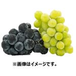 山梨県などの国内産 ぶどうミックス（シャインマスカット・ピオーネ）1パック 【8月8日～8月12日のお受取り】