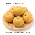 福岡県 などの国内産 なし（幸水梨）熟れっ子 1個